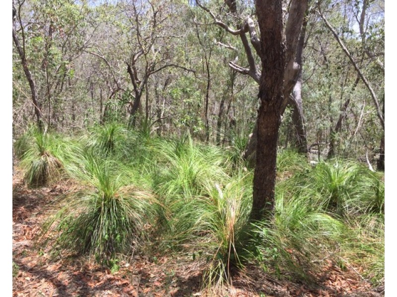 L139 Josefski Road, Agnes Water QLD 4677