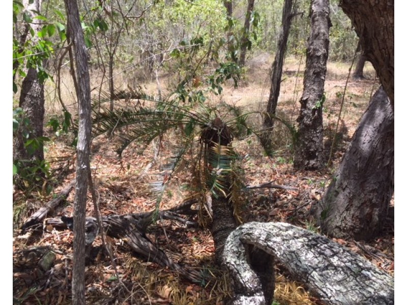 L139 Josefski Road, Agnes Water QLD 4677