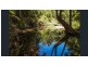 240 Ballantyne Road, Captain Creek QLD 4677
