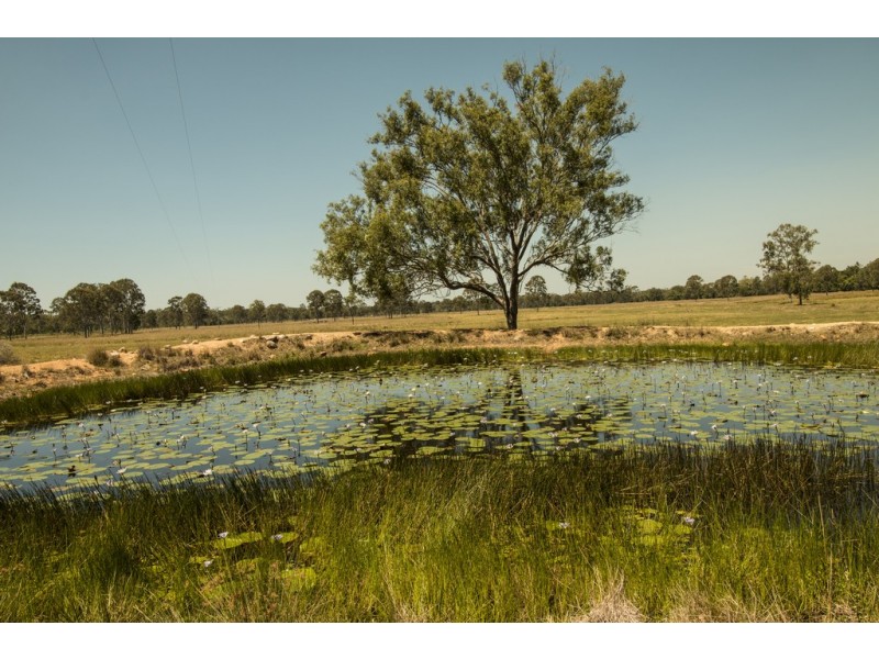 240 Ballantyne Road, Captain Creek QLD 4677