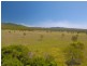 240 Ballantyne Road, Captain Creek QLD 4677