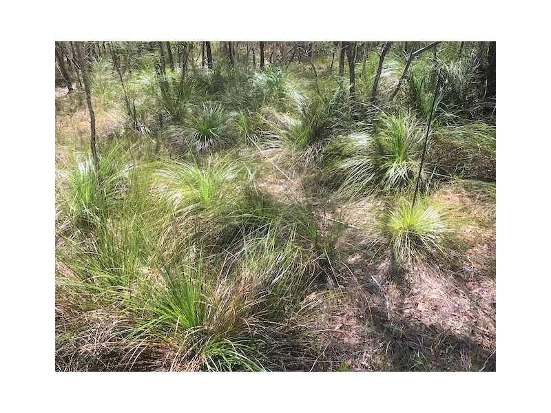 40 Bunker Road, Round Hill QLD 4677