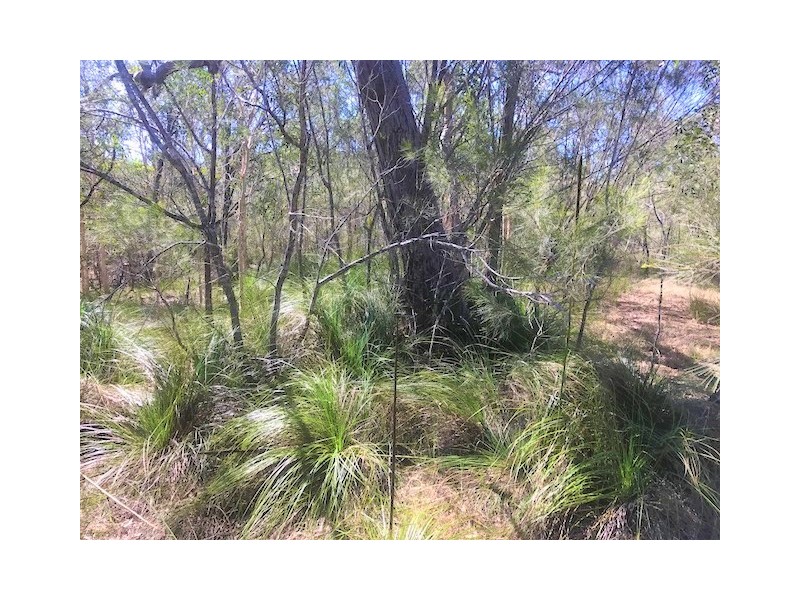 40 Bunker Road, Round Hill QLD 4677