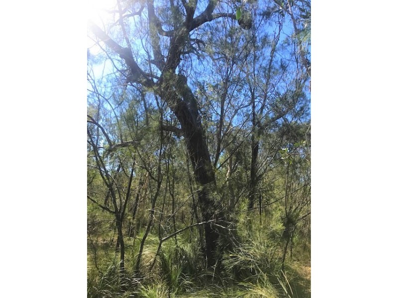 40 Bunker Road, Round Hill QLD 4677