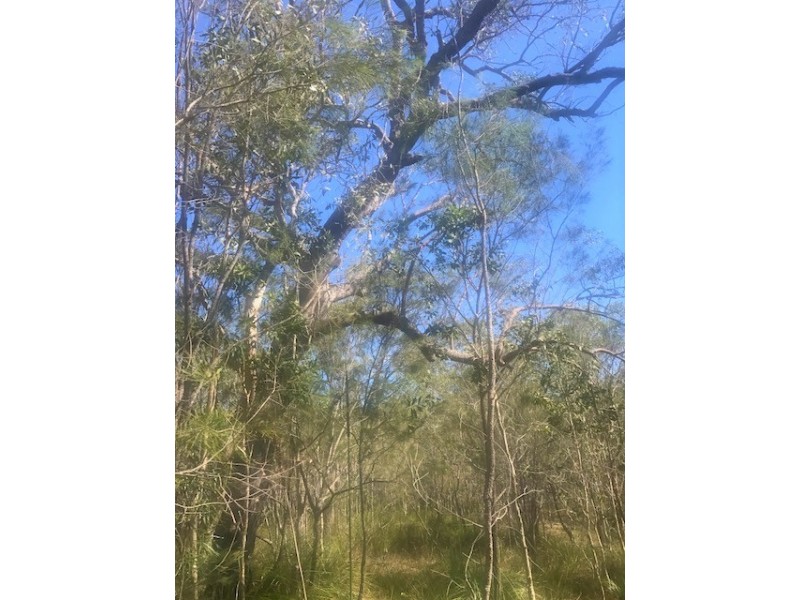 40 Bunker Road, Round Hill QLD 4677