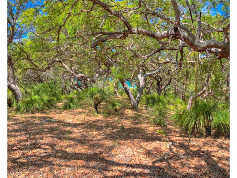 Agnes Water QLD 4677