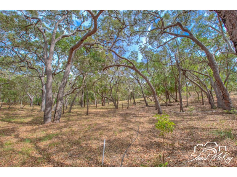 Lot 80 Bloodwood Ave, Agnes Water QLD 4677