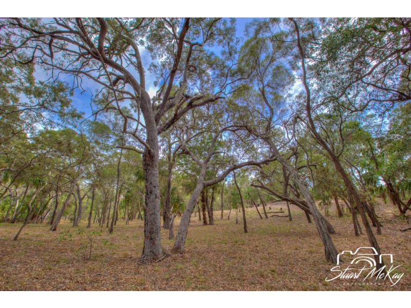 Lot 80 Bloodwood Ave, Agnes Water QLD 4677