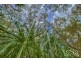 Lot 80 Bloodwood Ave, Agnes Water QLD 4677