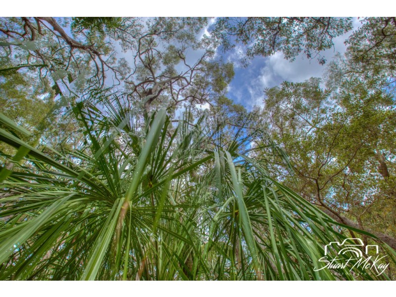 Lot 80 Bloodwood Ave, Agnes Water QLD 4677