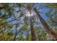 Lot 80 Bloodwood Ave, Agnes Water QLD 4677