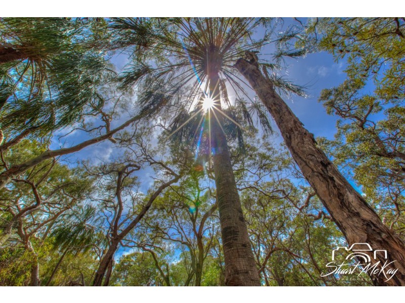 Lot 80 Bloodwood Ave, Agnes Water QLD 4677