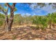 Lot 80 Bloodwood Ave, Agnes Water QLD 4677