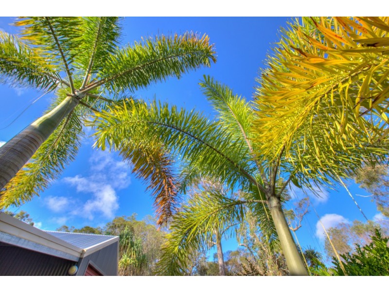 Agnes Water QLD 4677