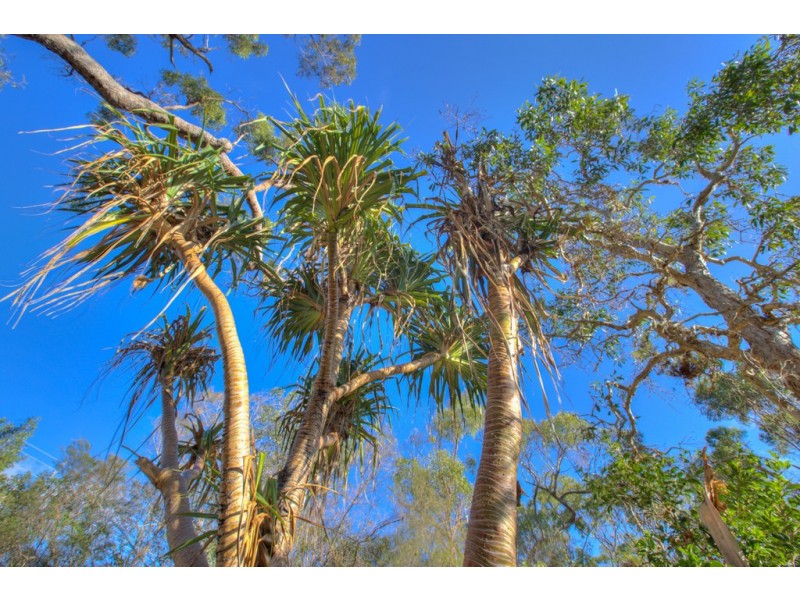 Agnes Water QLD 4677