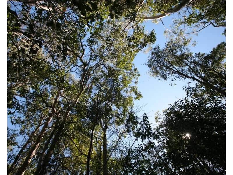 Lot 157 Murphy Road, Captain Creek QLD 4677