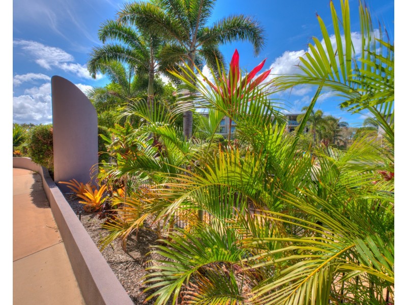 Agnes Water QLD 4677