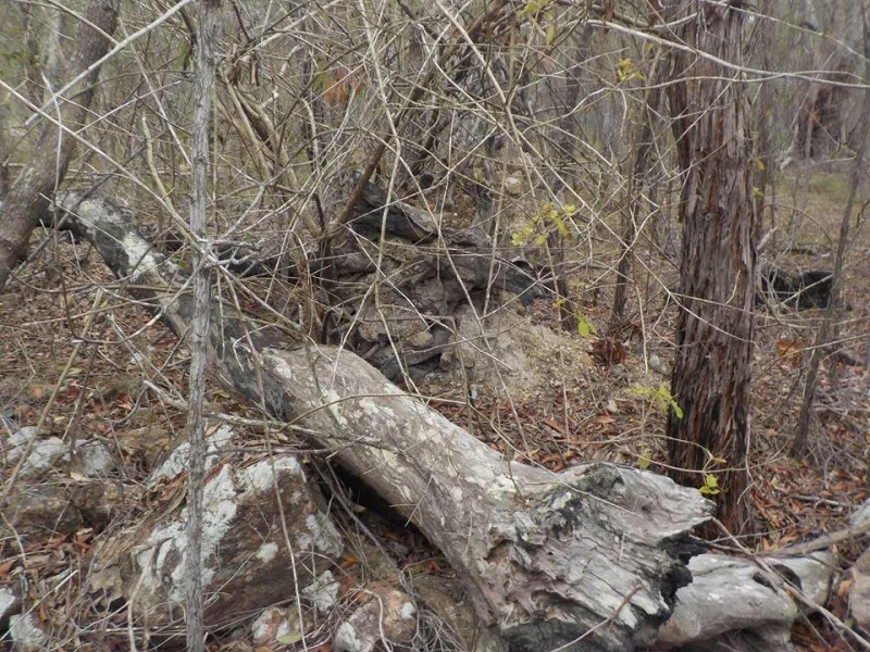 L6 Bootmaker Drive, Round Hill QLD 4677