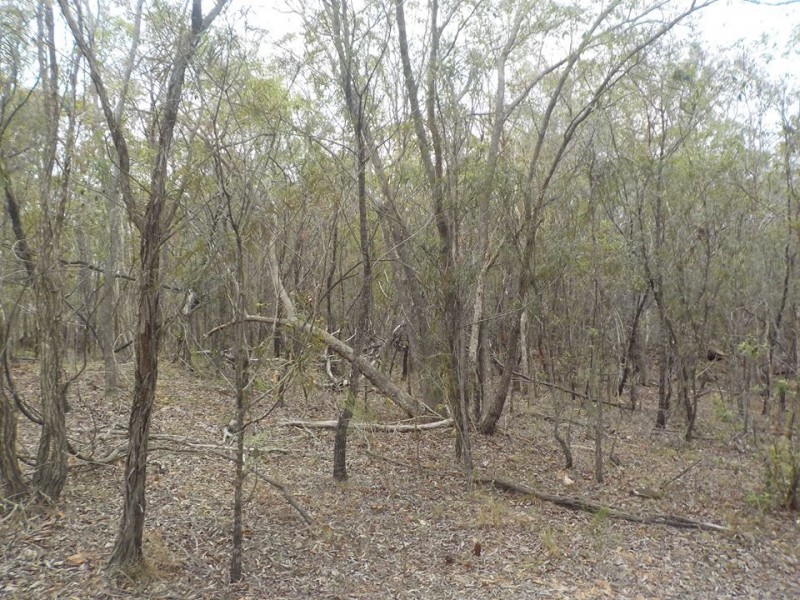 L6 Bootmaker Drive, Round Hill QLD 4677