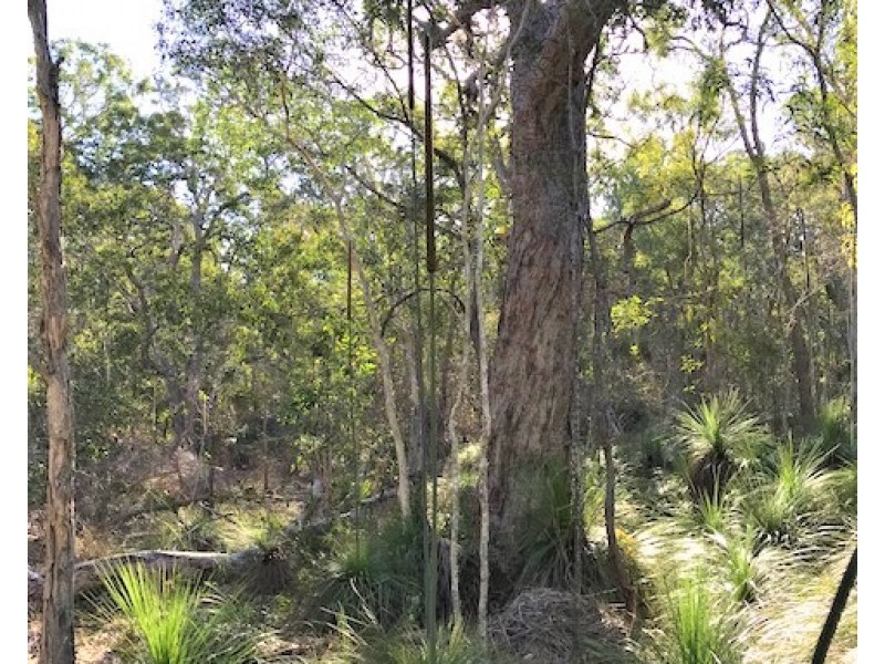 Agnes Water QLD 4677
