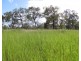 lot 550 Anderson Way, Agnes Water QLD 4677