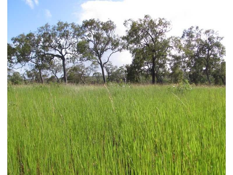 lot 550 Anderson Way, Agnes Water QLD 4677