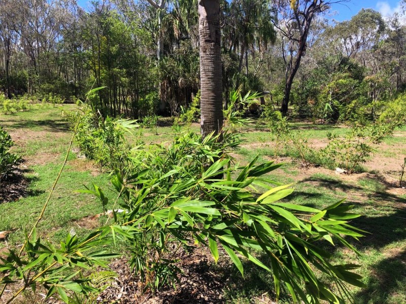 226 Innamincka Way, Agnes Water QLD 4677