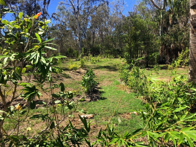 226 Innamincka Way, Agnes Water QLD 4677