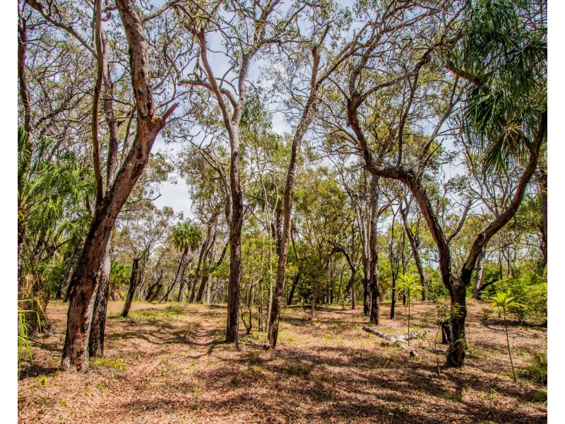Lot 31 Bloodwood ave, Agnes Water QLD 4677