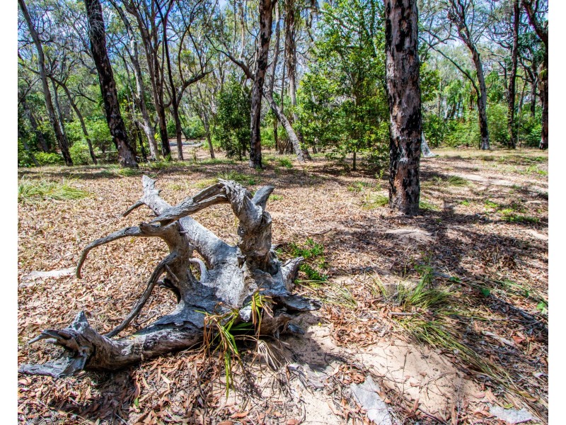 Lot 31 Bloodwood ave, Agnes Water QLD 4677
