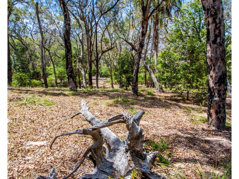 Lot 31 Bloodwood ave, Agnes Water QLD 4677