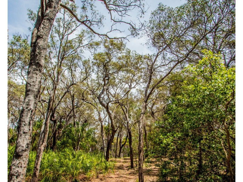 Lot 31 Bloodwood ave, Agnes Water QLD 4677