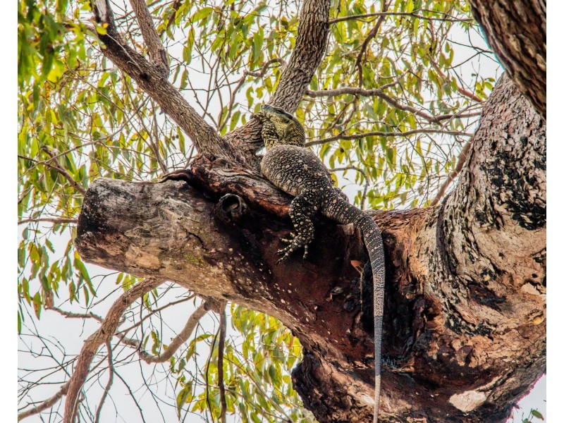 Lot 31 Bloodwood ave, Agnes Water QLD 4677