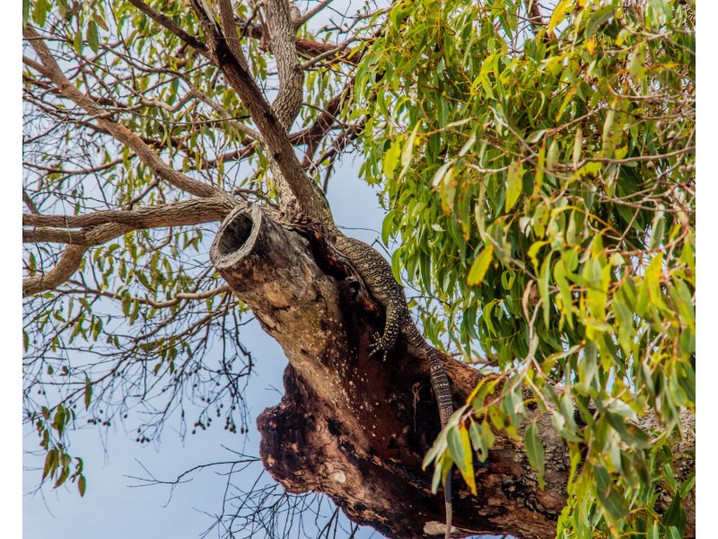 Lot 31 Bloodwood ave, Agnes Water QLD 4677