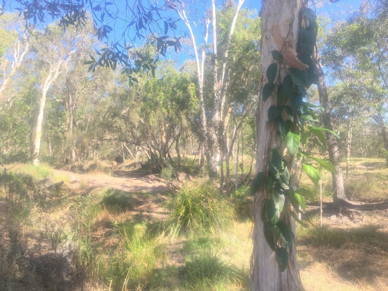 Round Hill QLD 4677
