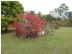 174 Oyster Creek Road, Oyster Creek QLD 4674