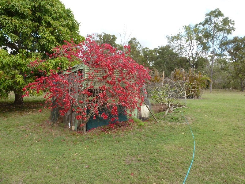 174 Oyster Creek Road, Oyster Creek QLD 4674