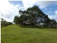 174 Oyster Creek Road, Oyster Creek QLD 4674