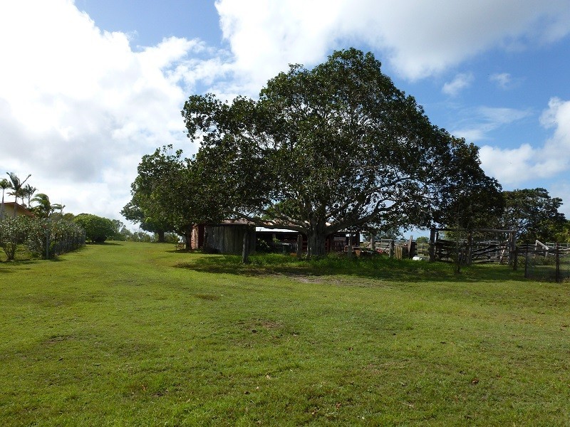 174 Oyster Creek Road, Oyster Creek QLD 4674
