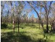 663 Capricornia Drive, Deepwater QLD 4674