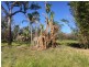 663 Capricornia Drive, Deepwater QLD 4674