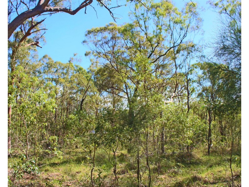 Agnes Water QLD 4677