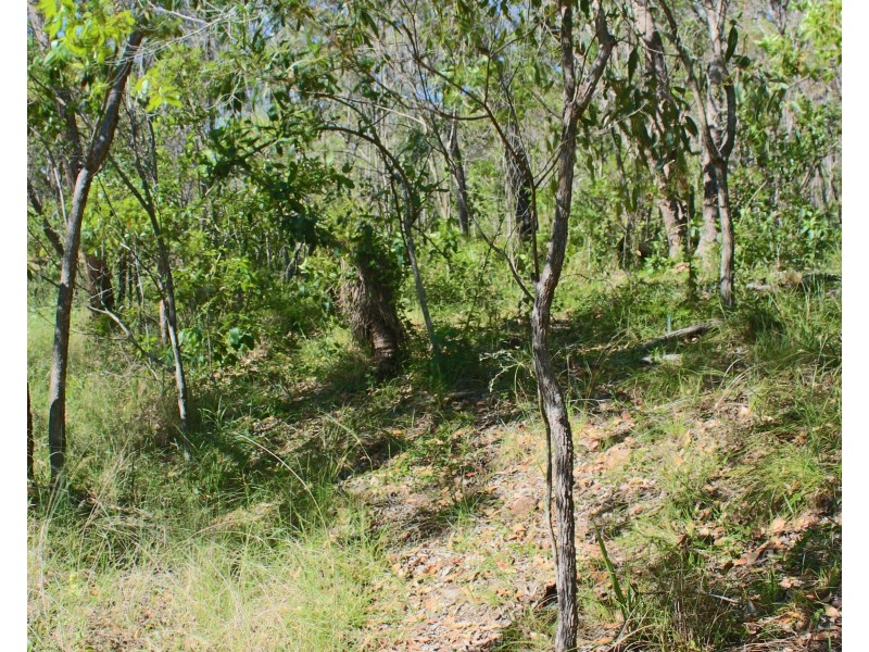Agnes Water QLD 4677