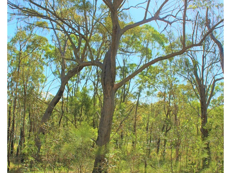 Agnes Water QLD 4677