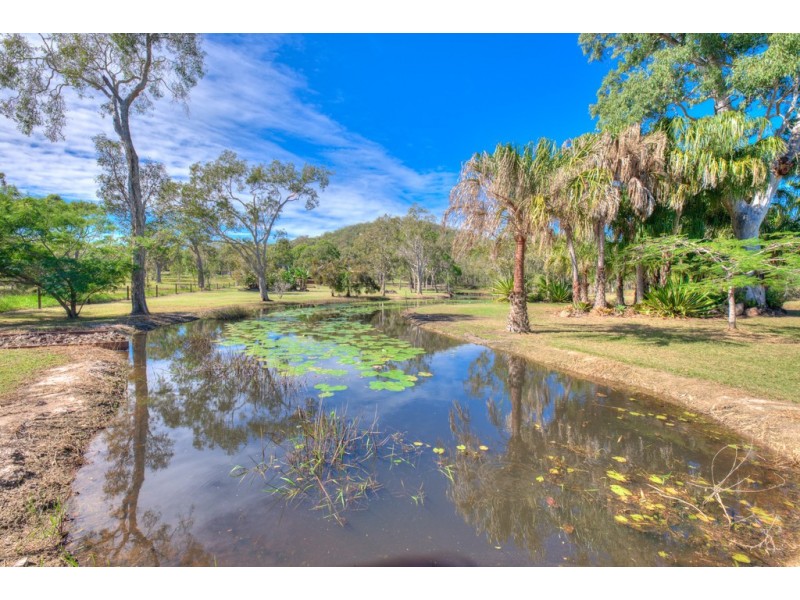 186 Streeter Drive, Agnes Water QLD 4677