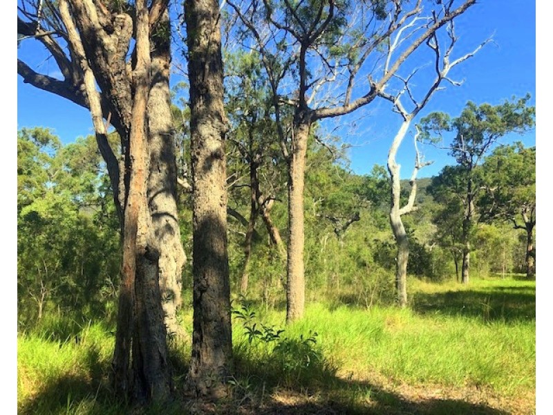 317 Streeter Drive, Agnes Water QLD 4677