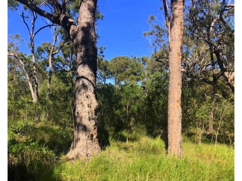 317 Streeter Drive, Agnes Water QLD 4677