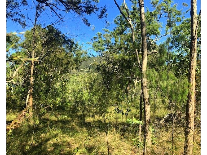 317 Streeter Drive, Agnes Water QLD 4677