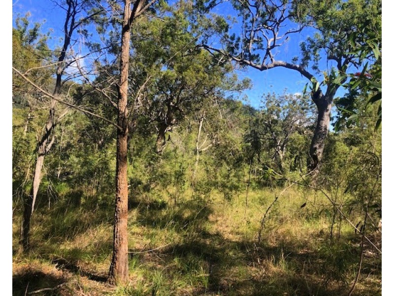 317 Streeter Drive, Agnes Water QLD 4677