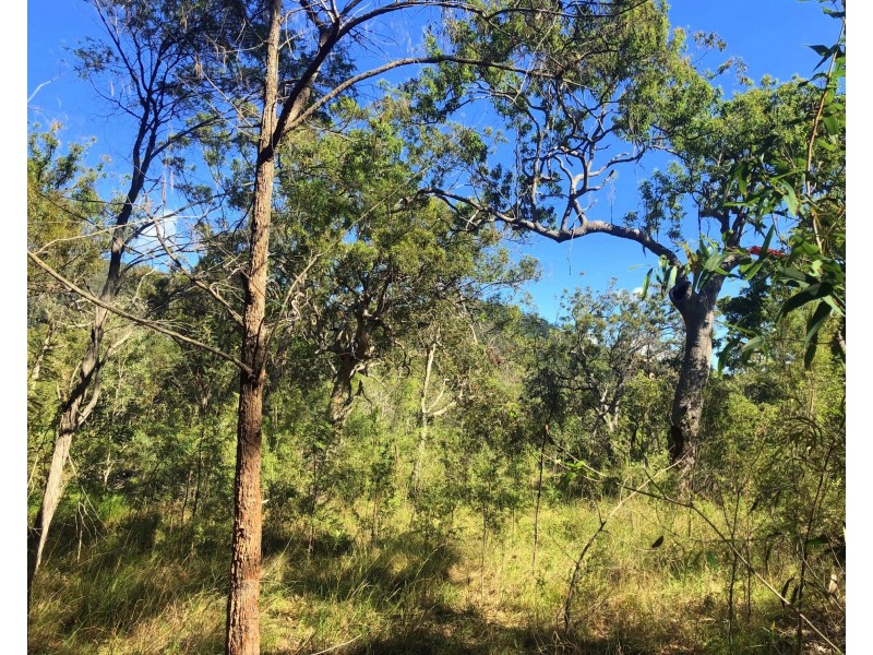 317 Streeter Drive, Agnes Water QLD 4677